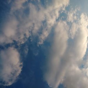 Meet your Posher, Polly